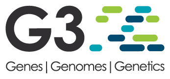 G3: Genes, Genomes, Genetics
